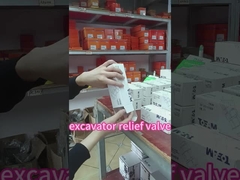 Válvula de Relief da máquina escavadora